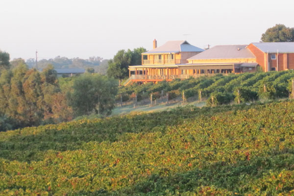 Sittella Winery - DVine Tours