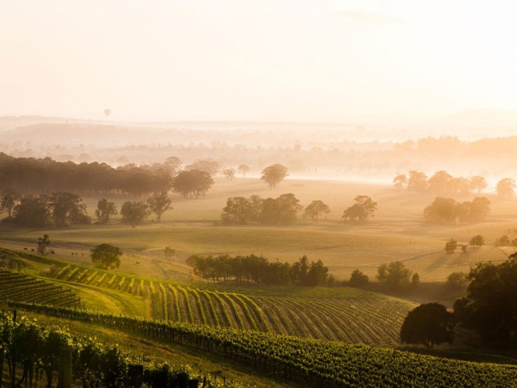 The Hunter Valley | d'Vine Tours