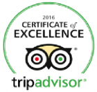 Certificate of Excellence | d'Vine Tours