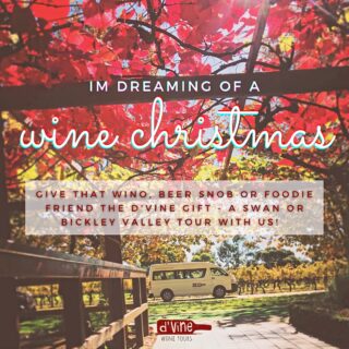 We’ve got your Chrissy Gifts sorted! Grab a d’Vine Voucher available for any amount and give the gift of an amazing tour in the Swan or Bickley Valley 🥂💃🏽

Click on the link in our bio to find out more about our tours ☀️