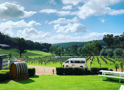 d'Vine Tours